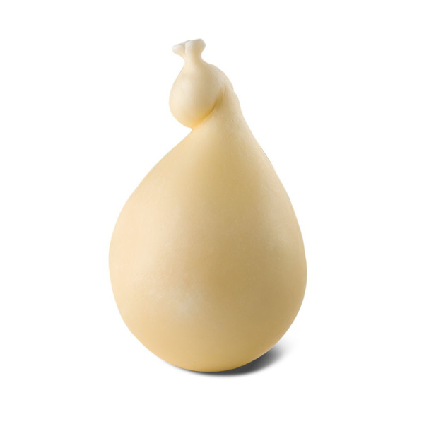 Il caciocavallo è un formaggio stagionato a pasta filata tipico dell’Italia meridionale. Prodotto con latte di vacca con l’aggiunta di solo caglio, fermenti lattici e sale, si conserva appeso a cavallo (da cui il nome) di una trave per l’essiccazione e si presenta, conseguentemente, sagomato in guisa di numero 8 con due corpi tondeggianti uniti da una strozzatura nel punto dove è legato.  Ingredienti: Latte, caglio, sale.  – PRODOTTO FATTO A MANO – PESO VARIABILE 1300/1400 gr.